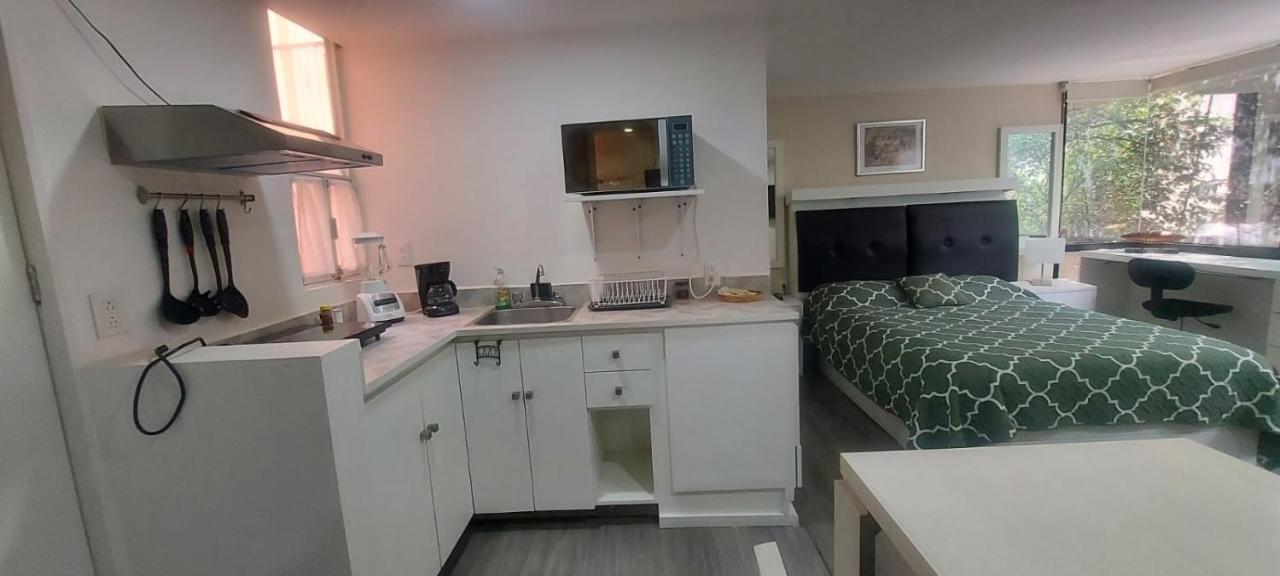 Lovely Loft At The Business Heart Of Мексико Сити Екстериор снимка